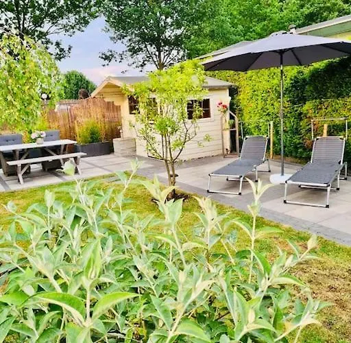 Sfeervol Zgan Chalet In Loenen, Veluwe Hotel *